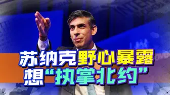 苏纳克野心没藏住，英国释放重大信号，想将北约“收入囊中”？