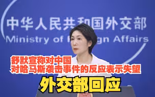 舒默宣称对中国对哈马斯袭击事件的反应表示失望，外交部回应