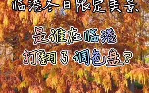 冬日美景限定放送！趁着周末约上三两好友去#临港新片区 城市公园打卡吧～#美景 #冬日暖星季