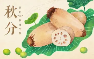 四时“丰”物在中国：秋分——吃藕不变丑