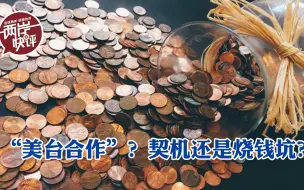 “台美合作”拼“新南向”，发展契机还是新钱坑？