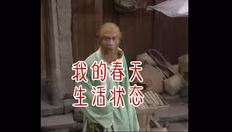 《西游记》演我春天生活状态
