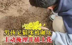 男孩掩埋横死野猫在土包上插鲜花，妈妈：希望他做个有爱心的人