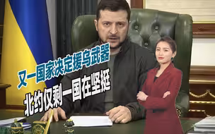 又一国家决定援乌武器，北约仅剩一国在坚挺，俄已被彻底孤立
