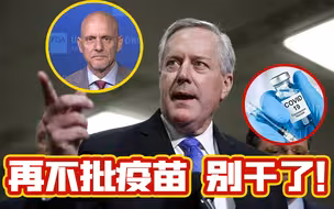 遭白宫施压 美国药管局当天批准辉瑞新冠疫苗紧急使用授权