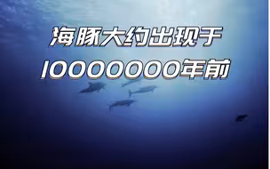 海豚大约出现于1000万年前