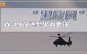 火力更强！直-19改进型头顶“高压锅”，可同时识别多目标