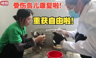 河北衡水：科学放归10余种伤病鸟类