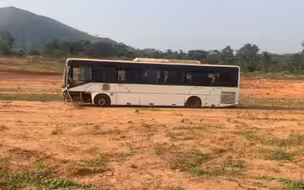 喀麦隆一巴士为躲避人群撞上卡车 至少37人死亡