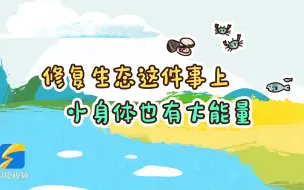 修复生态这件事上，“小身体”也有大能量