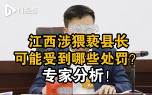 江西李某平县长涉嫌猥亵被停职，可能受到哪些处罚？专家分析