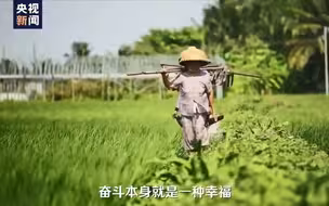好日子都是奋斗出来的