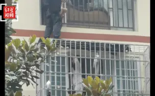 女童翻窗坠落雨棚 警嫂单手托举单手电话报警