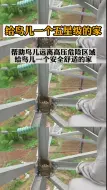 爬上铁塔，给鸟儿一个五星级的家