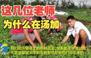 聊城三位教师为何远在汤加？不仅开展教学还帮当地人种植蔬菜