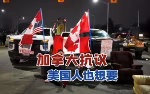 加拿大抗议，变成了“美国人的战场”？美议员：我们是为了自由
