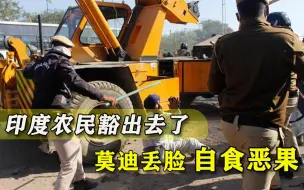 莫迪不松口，印度农民大军决心“国庆日”搞事，要与军队硬碰硬？