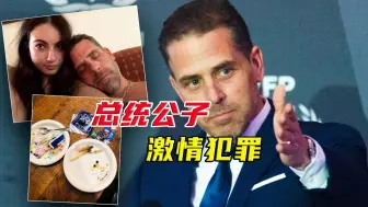 被控9项罪名，最高17年监禁，拜登二公子成美国历史第一人