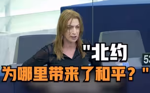 欧洲议会议员：北约为哪里带来了和平？