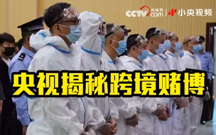 《焦点访谈》揭秘跨境赌博大案！