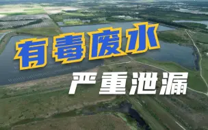 污水池严重泄漏 美国佛州马纳提县进入紧急状态