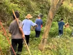 清明将至，华南F3陆续开启拜山模式 网友：大型野外生存训练实录