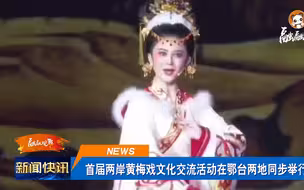 【融融观鄂】首届海峡两岸黄梅戏文化交流活动在鄂台两地同步举行