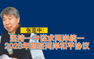 张亚中：坚持一中谋求两岸统一，2028年前签署两岸和平协议