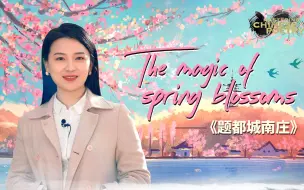诗词里的中国：一起读崔护的《题都城南庄》
