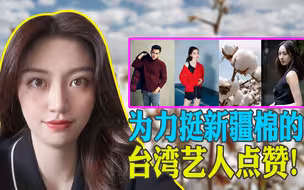 为维护祖国利益力挺新疆棉的台湾艺人点赞！