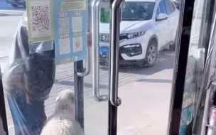 3个月大的小羊跟着主人逛超市，乖乖跟在主人身后。