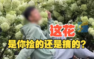 游客在地铁通风井上拿绣球花拍照 女子制止：都说捡的，花会自己掉吗