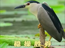 @高考学子，送你一份来自大自然的祝福，祝你展翅高飞！一举夺魁！