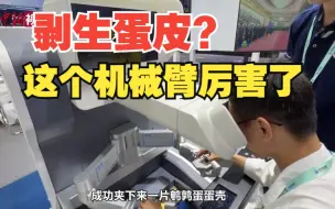【小新的Vlog】机械臂画肖像剥生蛋皮 中关村论坛展览都有什么“黑科技”？