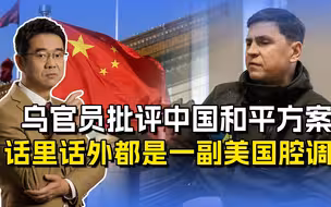 泽连斯基顾问批评中国和平方案，时机选择微妙，专捡美国爱听的讲