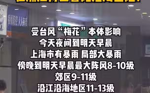 刚刚，台风“梅花”在浙江舟山登陆！今晚或将在浙江、上海沿海再次登陆