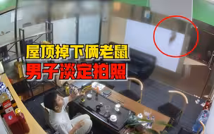 屋顶掉下俩老鼠男子淡定拍照：遇事不要慌，先发个朋友圈
