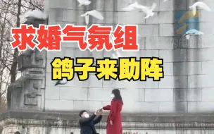 男子岸边求婚鸽群起飞变氛围组 当事人：超出了预想效果 谢谢鸽子们