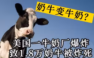 美国得州一奶牛场爆炸 约1.8万头奶牛被炸死