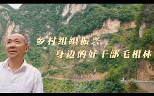 乡村组织振兴 身边的好干部——毛相林