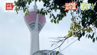 沿着高速看中国｜节拍天下：来成都，带你一起看成都天府熊猫塔