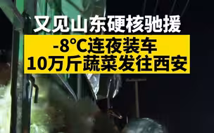 又见山东硬核驰援 近10万斤爱心蔬菜连夜装车发往西安