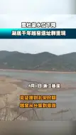 水位下降 千年越窑遗址群重现