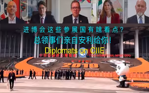 这届进博会这些参展国有啥看点？总领事们亲自安利给你！