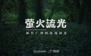 萤火流光，抓住广州初夏的浪漫