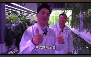 东营盐碱地上长出希望！任鲁豫探访育种加速器实验室 ，为育种专家点赞！