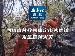 新华社消息｜四川省甘孜州康定市沙德镇发生森林火灾