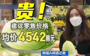 疯狂的白菜！韩国一棵白菜卖到近25元
