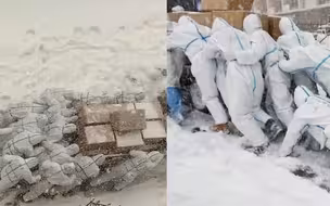 高校师生志愿者冒风雪送防疫物资 深一脚浅一脚逆风前行令人泪目