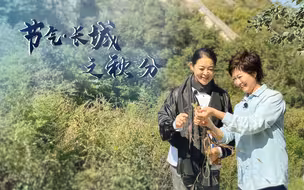 敬一丹、倪萍登上古长城，分享记忆中的秋